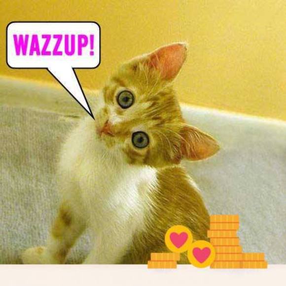 Meet your Posher, Ann d. - Picture 1 of 1